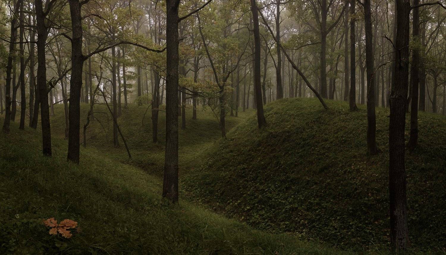 , Баранов Олег