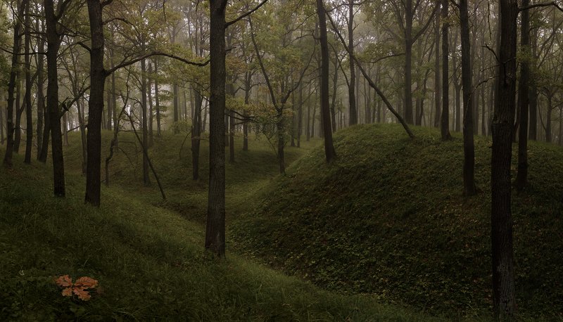 *** фото превью