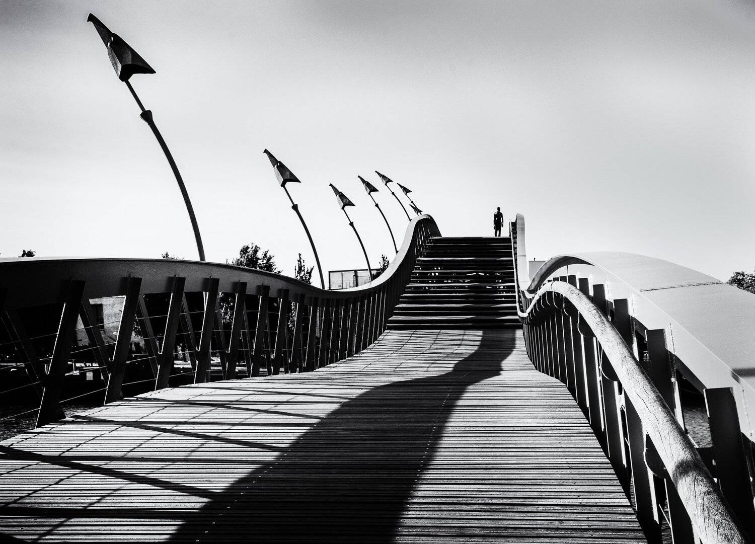 мост, дракон, амстердам, силуэт, на мосту, Владимир Брагилевский