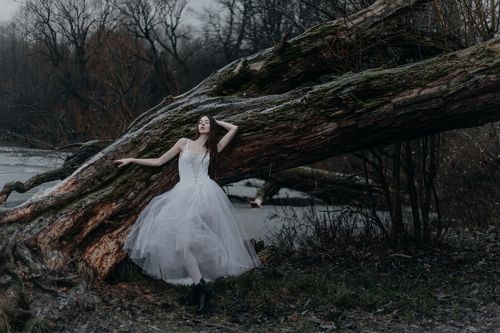 The white swan