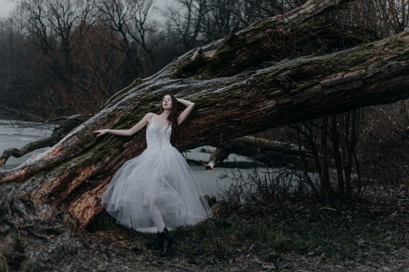 балерина зима модель The white swan фото превью