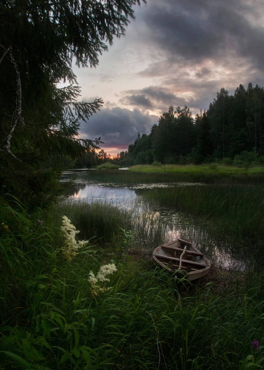 , александр таничев