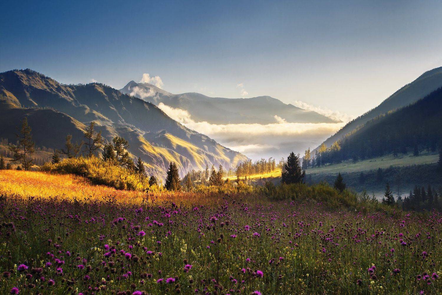 Алтай, горы, утро в горах, горный Алтай, облака, первое солнце, восход, Vyacheslav Lozhkin