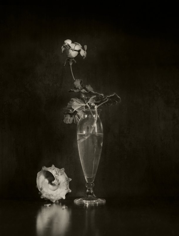 ***** фото превью