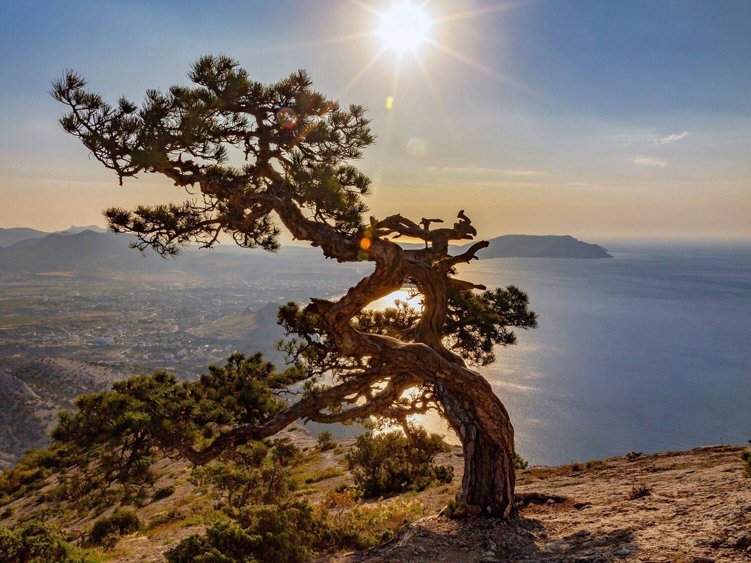 , Сергей Евдокимов