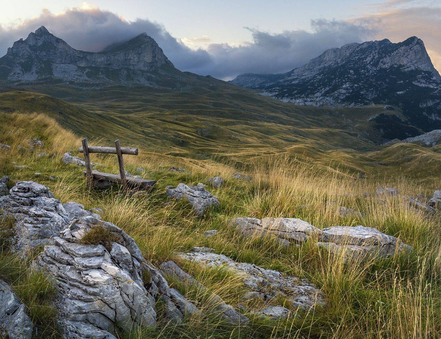 , Albena Andonova-Asa