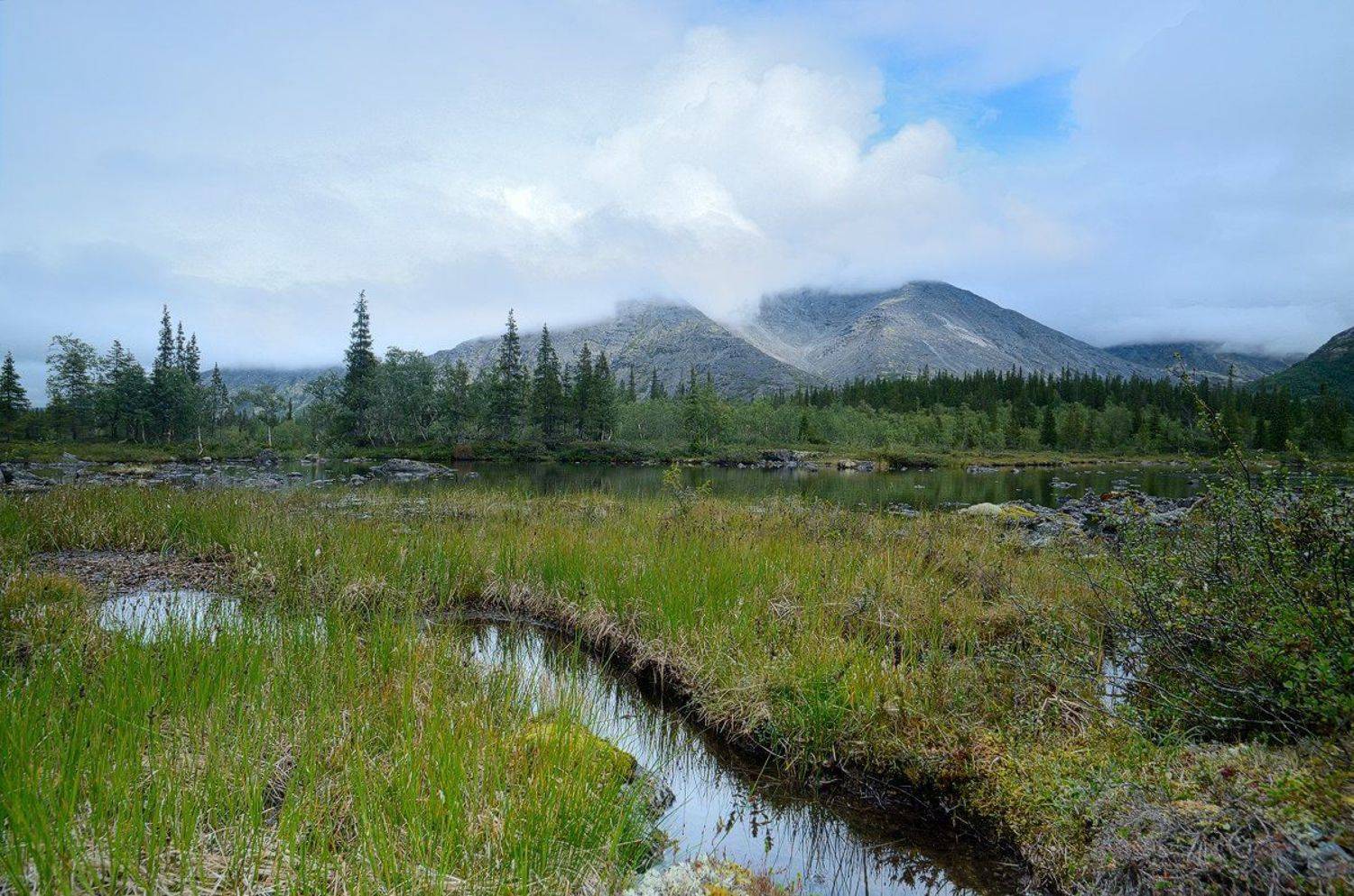 , Дима Лялин