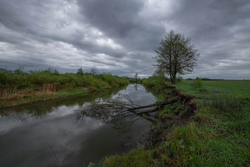 задождило... фото превью