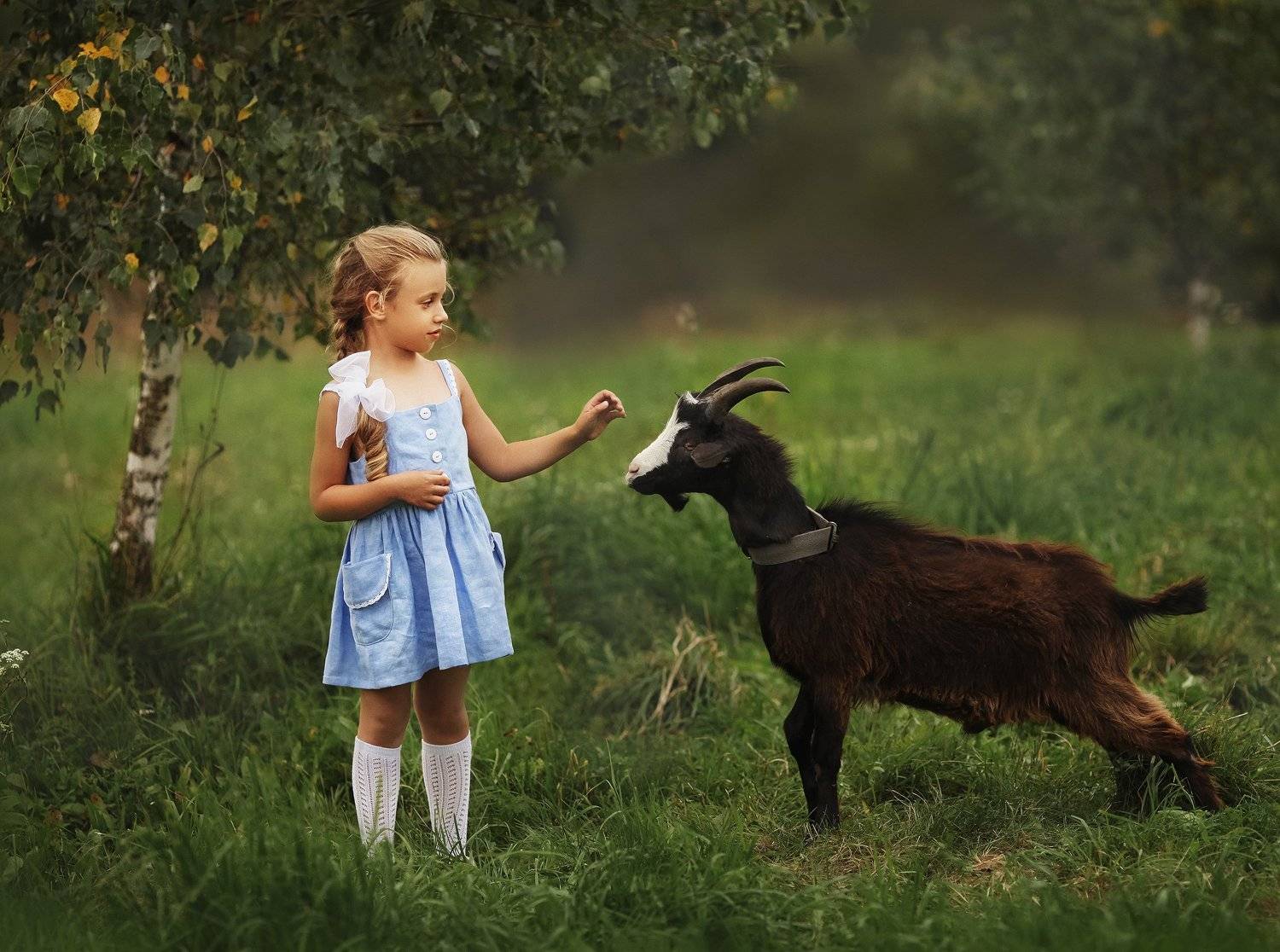 , Валерия Касперова