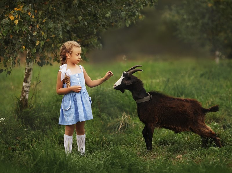 В деревне фото превью