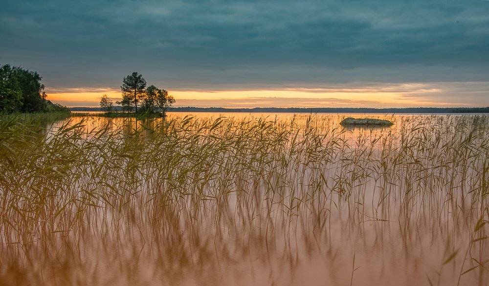 карелия, рассвет, остров, шуеозеро, Владимир Брагилевский
