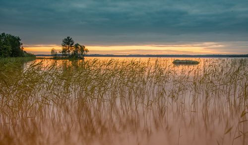 Рассвет на Шуеозере, Карелия