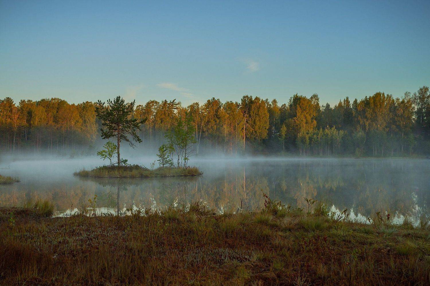 , Елена Маковоз