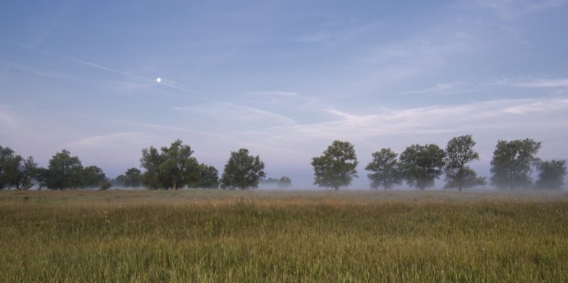 #омск, #тара, #окунево, #тюп Окунево. Ведьмин круг фото превью