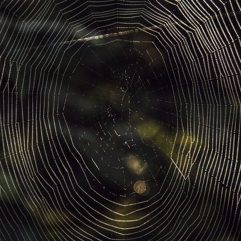 Погружаясь в Галактику фото превью