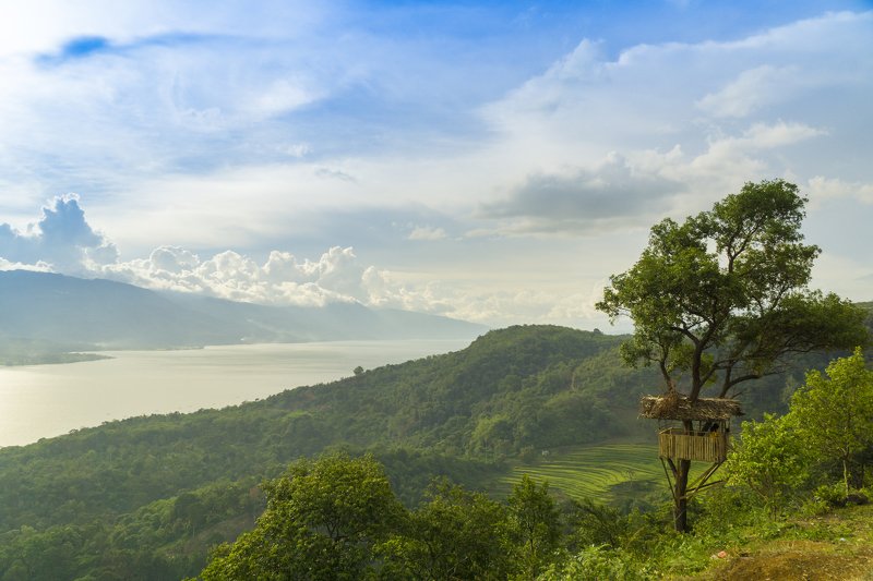 фото превью