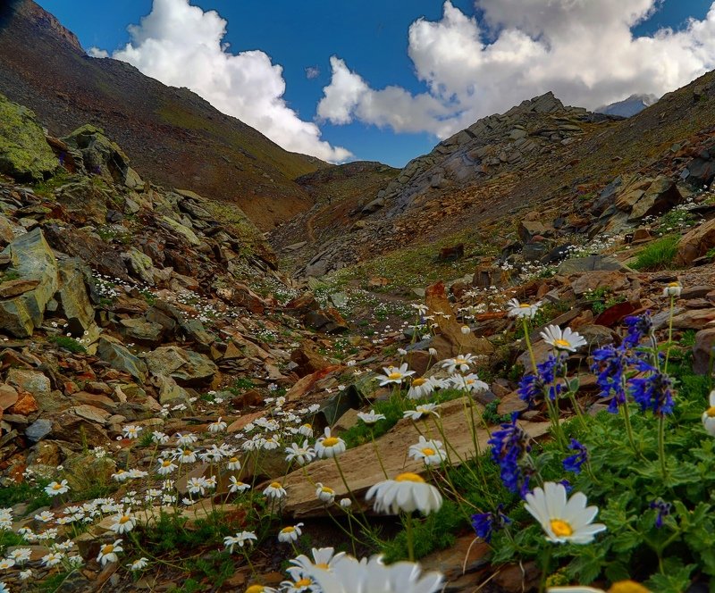 Lahla фото превью