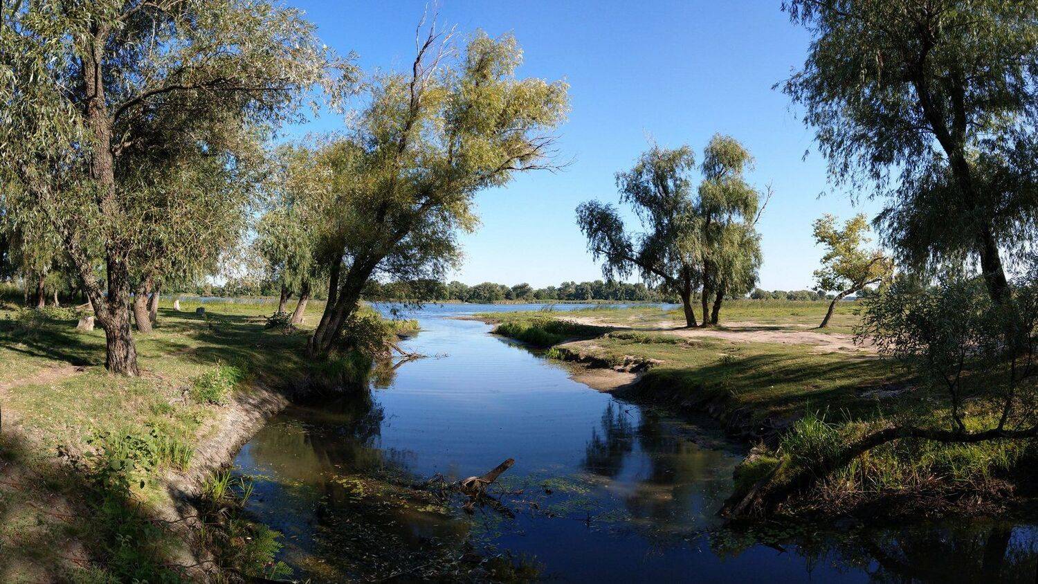 вечер,берег,река,пейзаж,небо,деревья,релакс, Сергей Богачёв