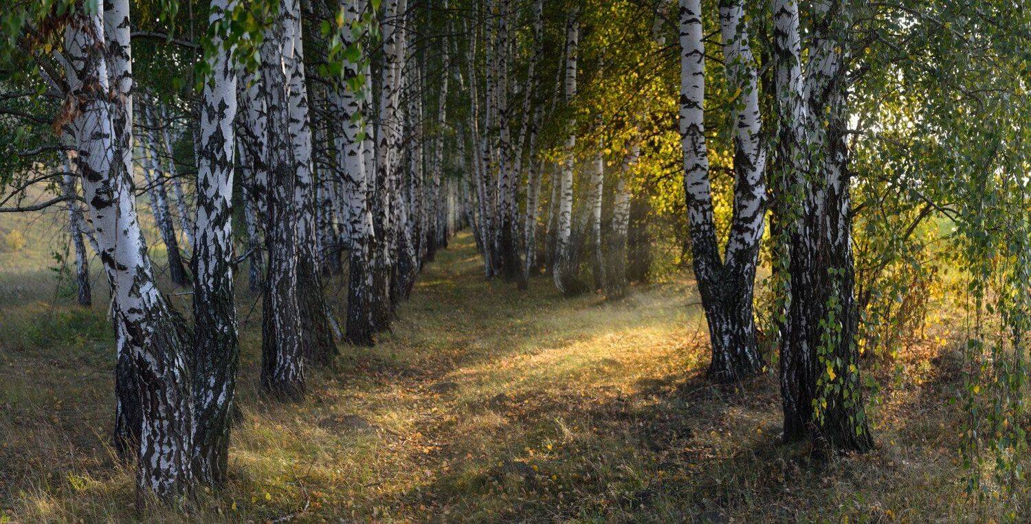 тула, венев, 12 ключей, двенадцать ключей, сентябрь, Сергей Кочергин