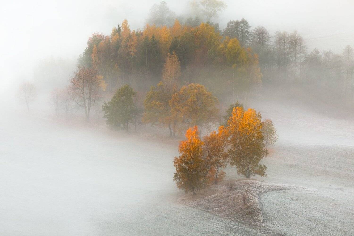 landscape,canon,mist,light,autumn, Iza i Darek Mitręga
