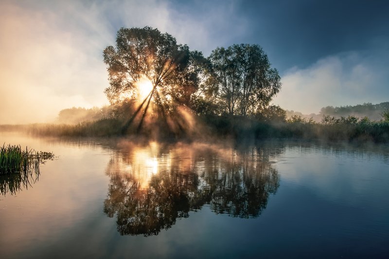 sunrise dawn mist river bank morning summer рассвет туман река берег утро лето Misty Butterfly фото превью