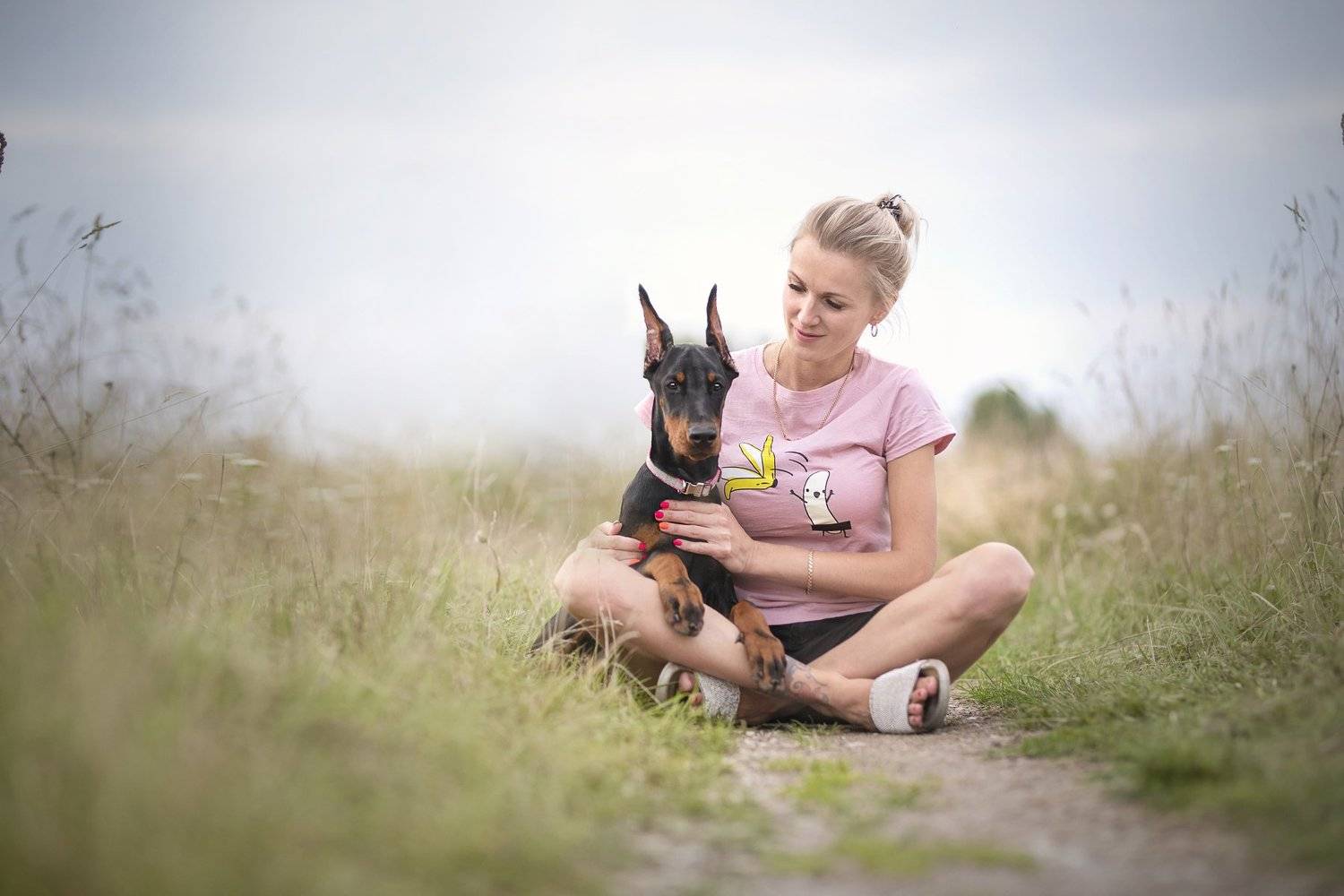 dog, doberman, Karina Saarestik