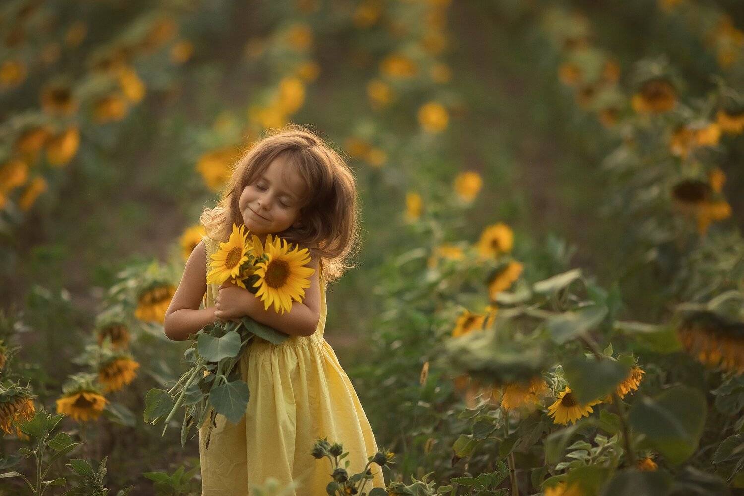 #sunflower, Irena Chudak