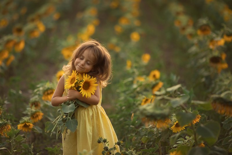 #sunflower  фото превью