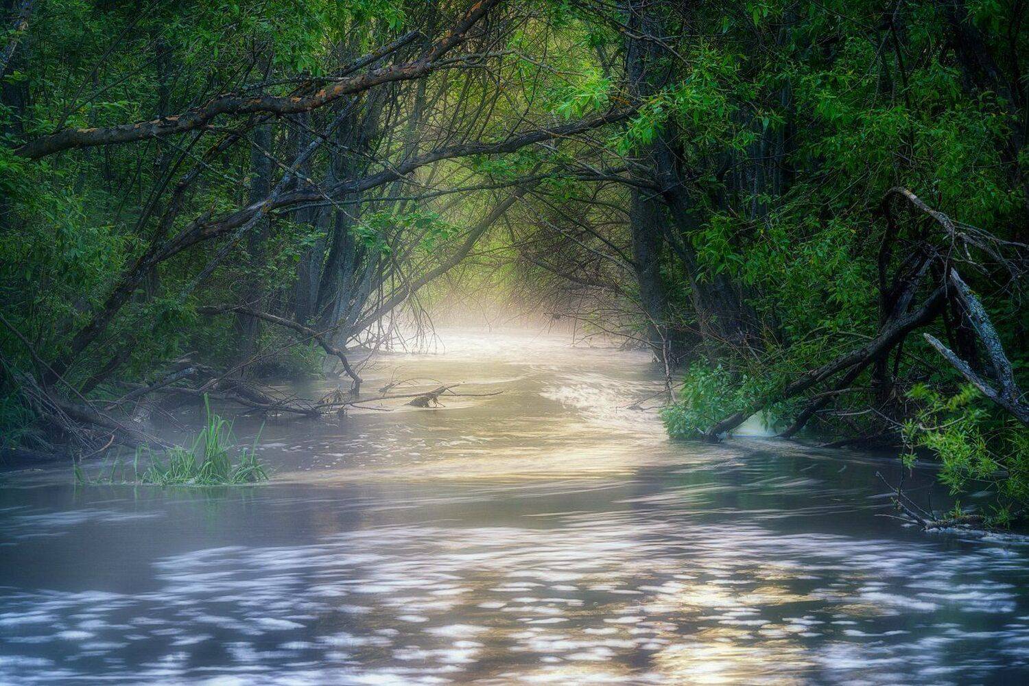 , Устюжанин Михаил