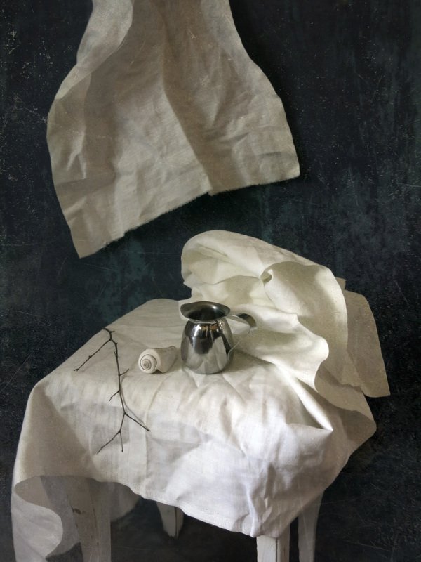 Ракушка фото превью