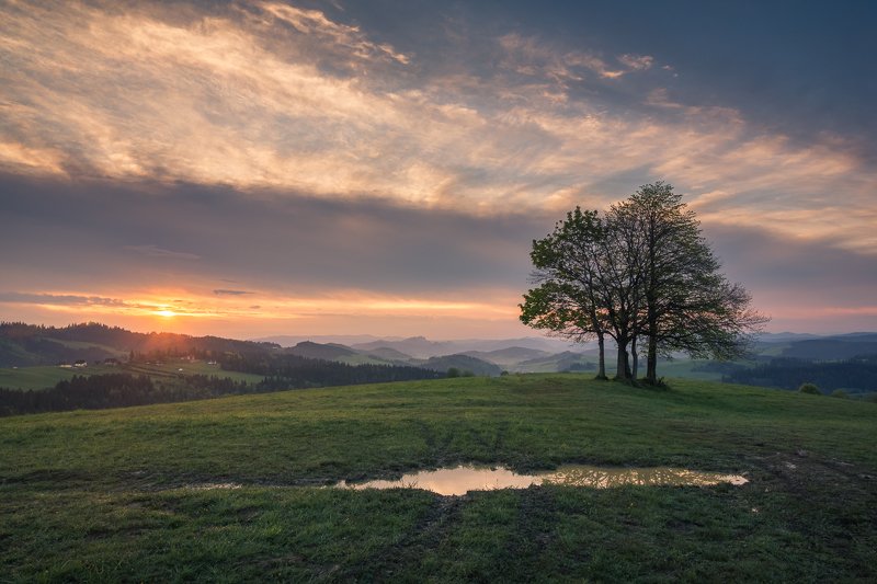 mountains, spisz, pieniny, poland, morning, sunrise, sun, tree, lonely, Morning in Spisz фото превью