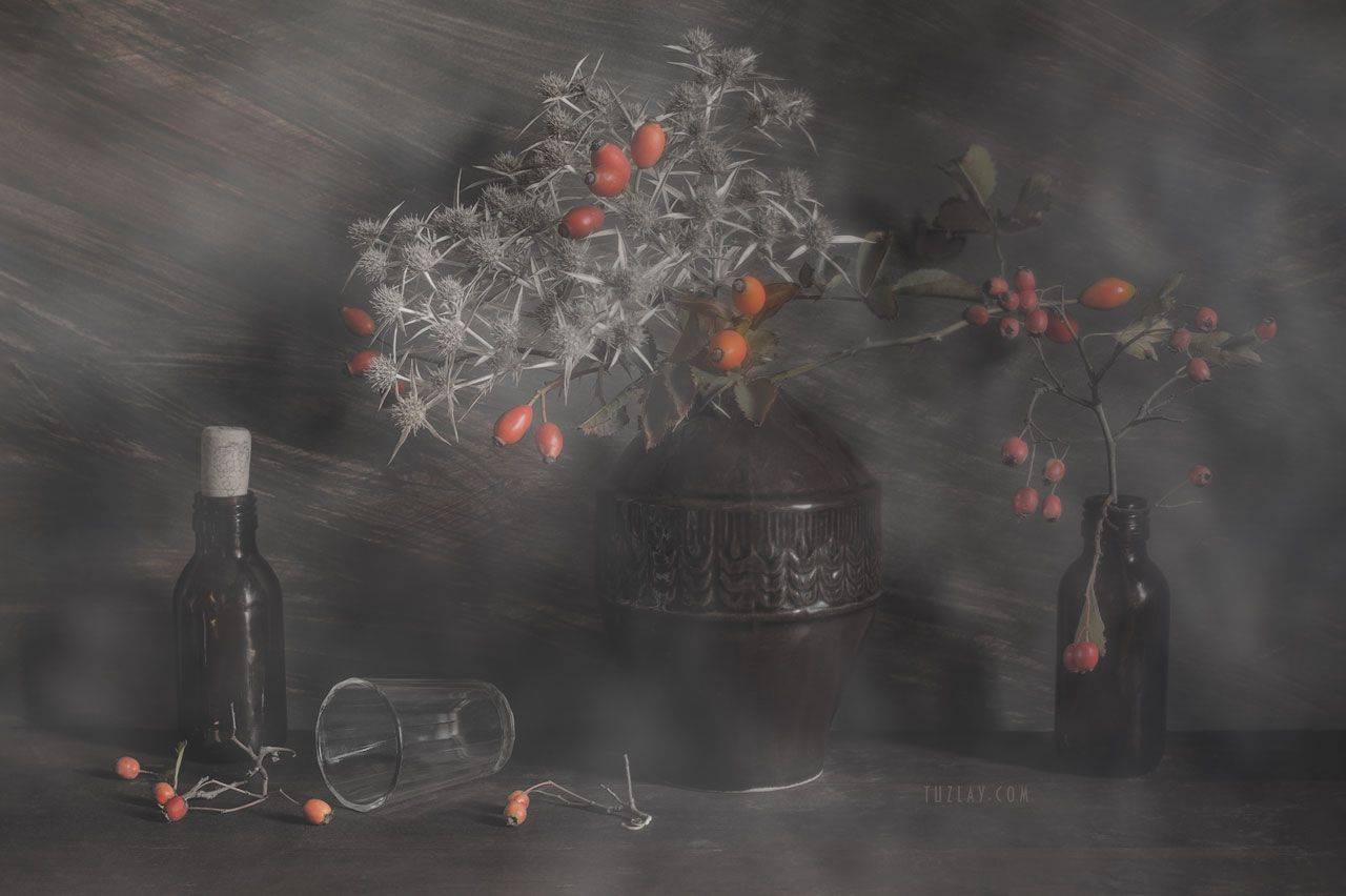 шиповник, боярышник, колючки, Владимир Тузлай