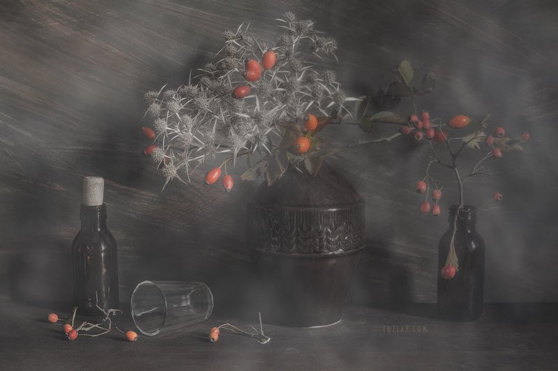 Колючий натюрморт фото превью