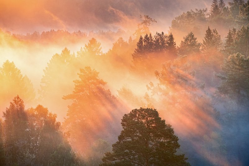 Краски летнего утра фото превью