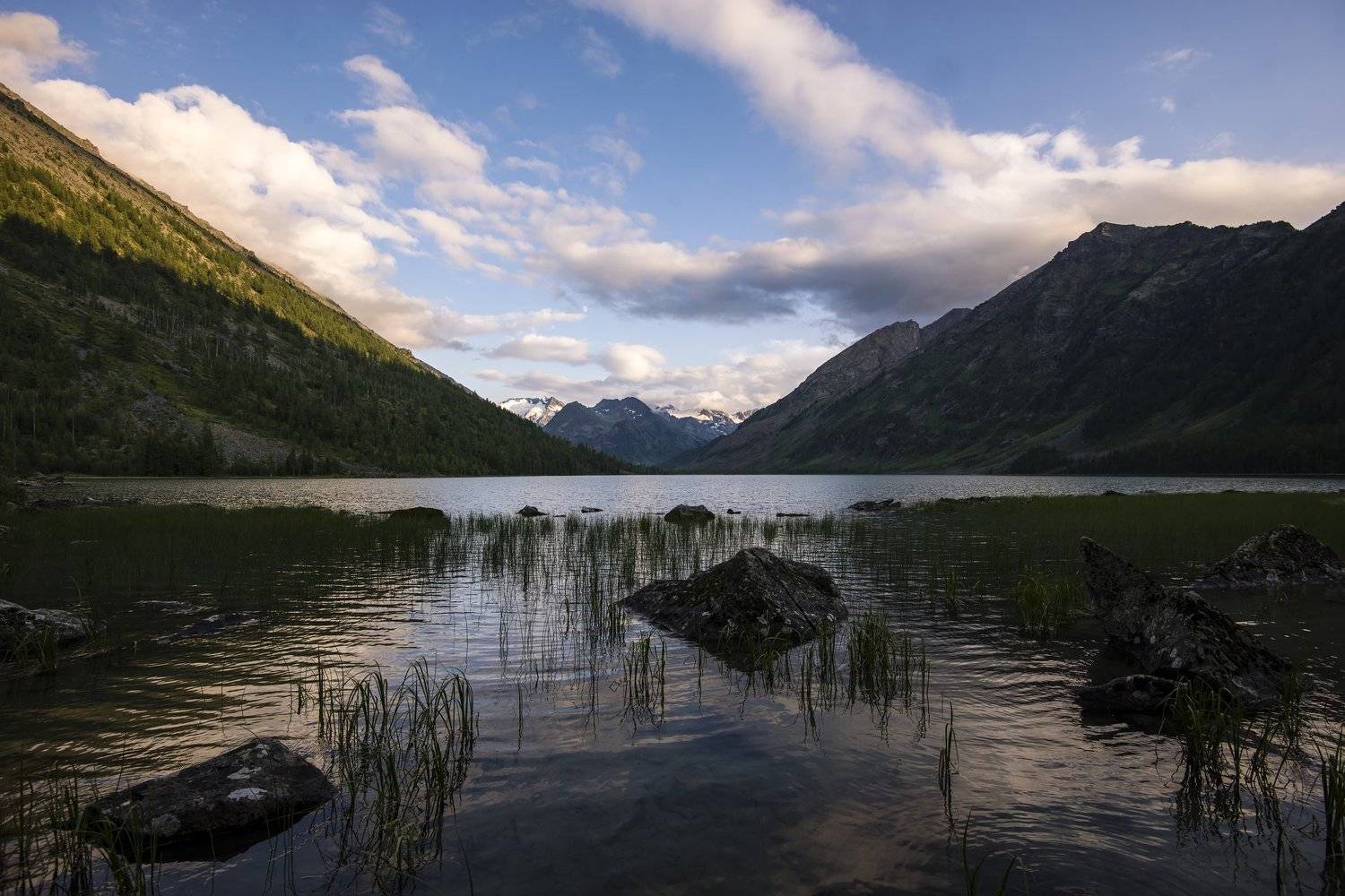 , Александр Алексеев