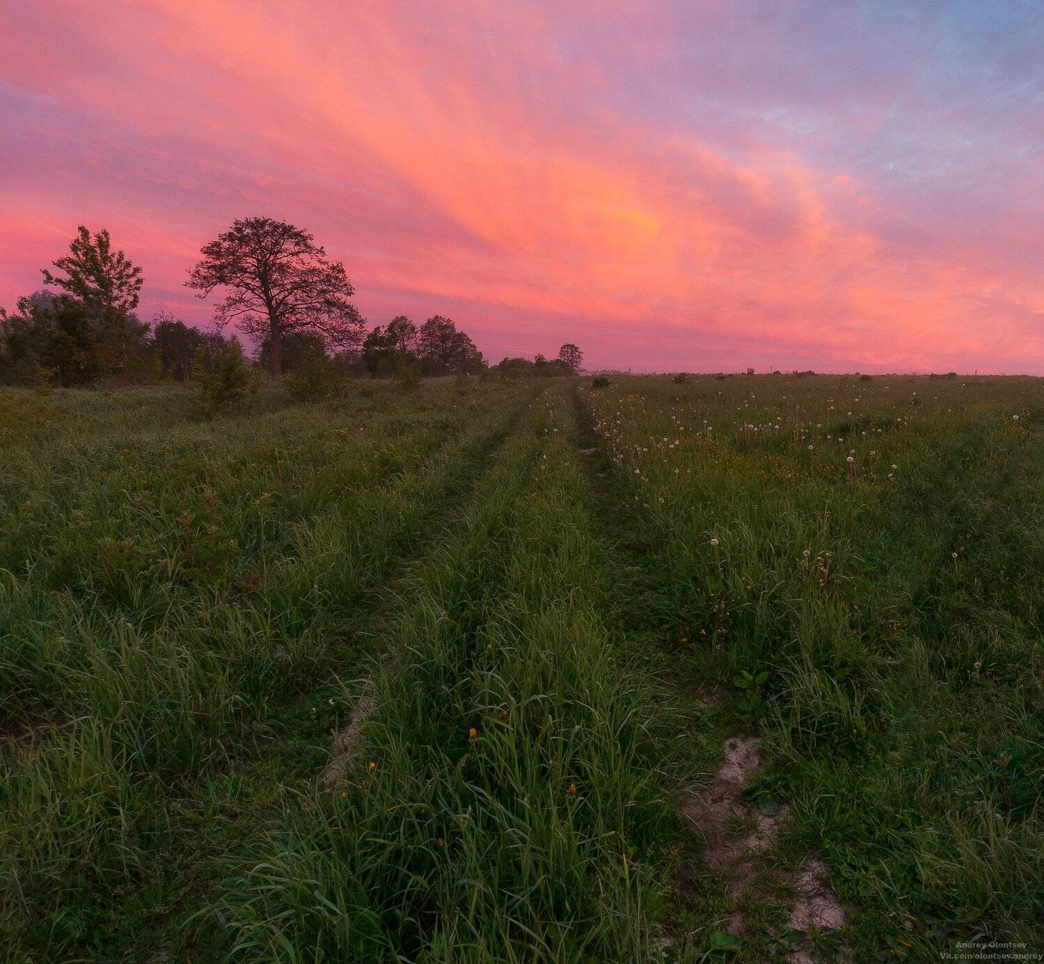 солнце, россия, рассвет, природа, подмосковье, погода, пейзажи, пейзаж, отражение, наукоград, красота, дубна, вода, весна, weather, water, spring, russia, reflection, naukograd, nature, moscow, landscape, dawn, canon, dubna, beauty, Андрей Олонцев