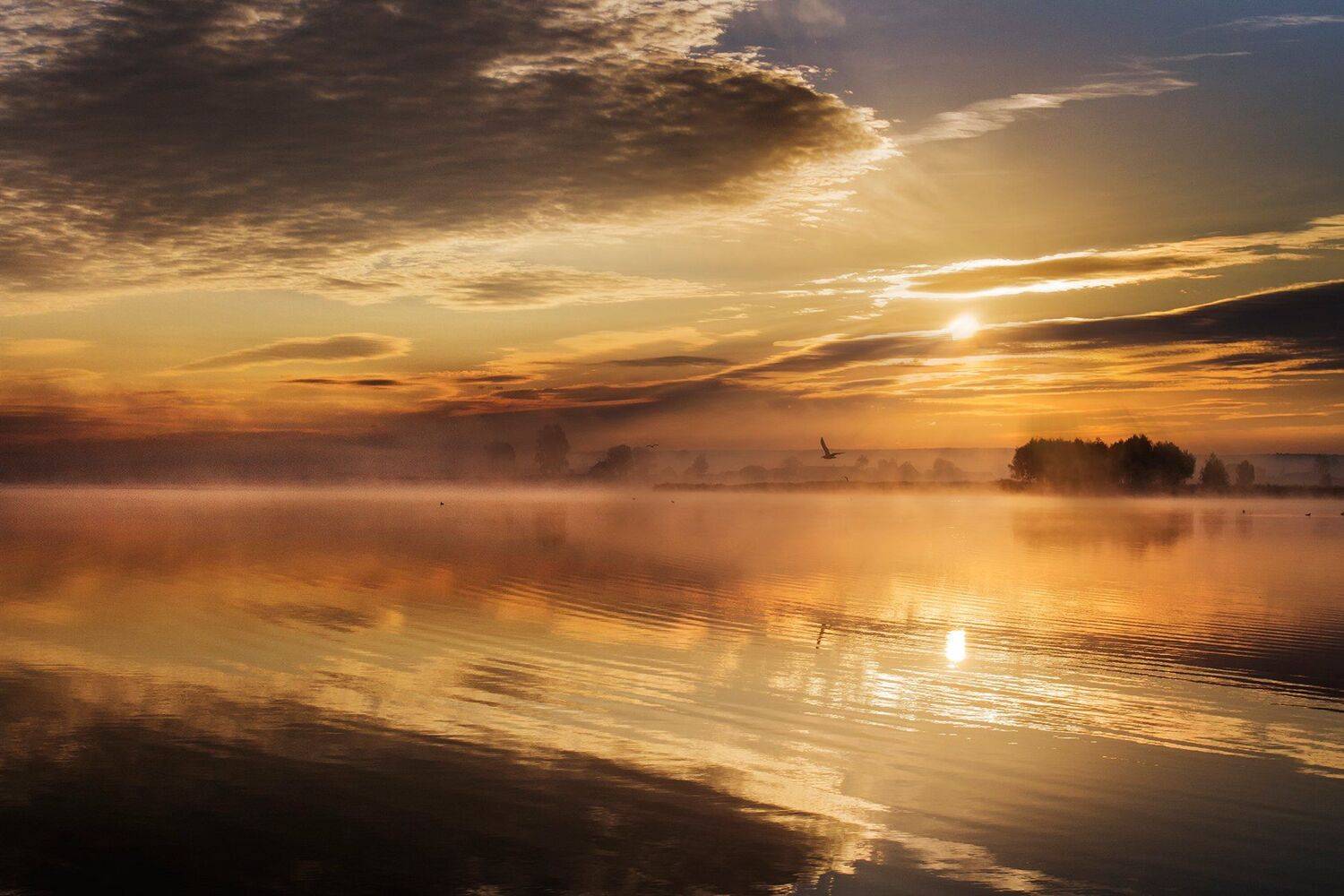 озеро, утро, рассвет,отражение,солнце,лето, Тамара Андреева