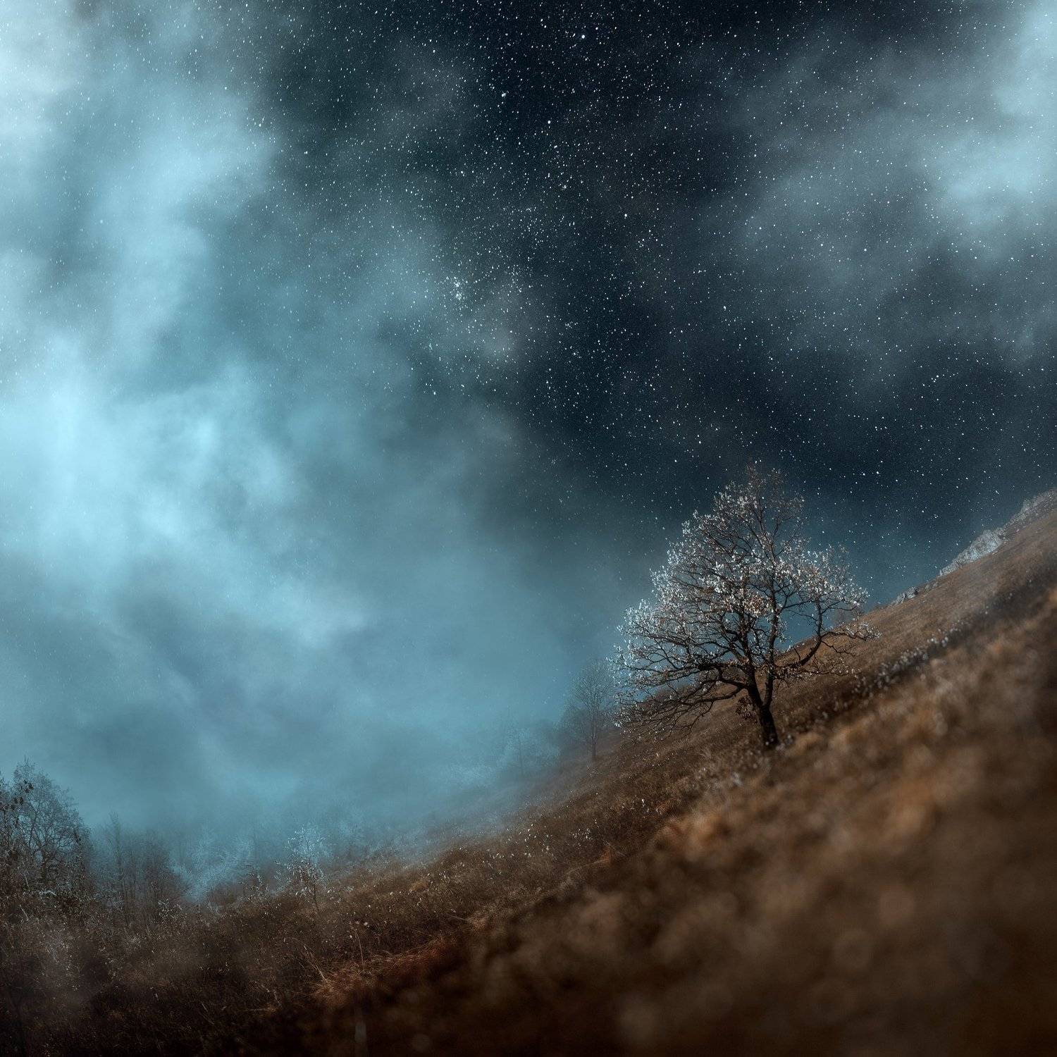 , Борис Тменов