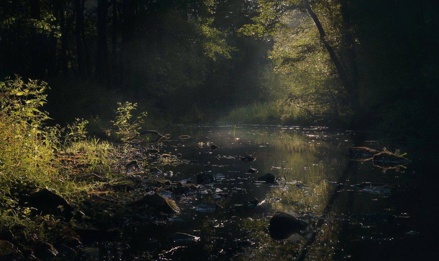 , Баранов Олег