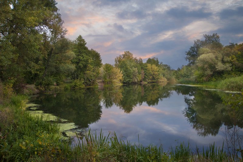 пейзаж, лето, вечер, лес,река,берег,рыбак, облака На закате дня ... фото превью