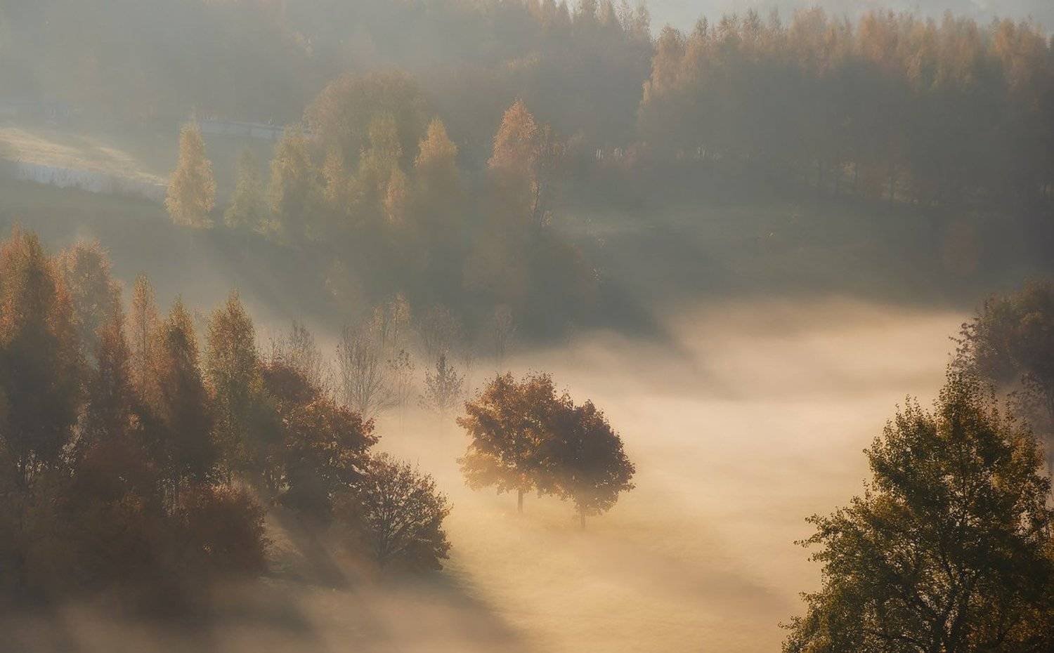 утро, рассвет, туман, осень, октябрь, Дима Карабинов