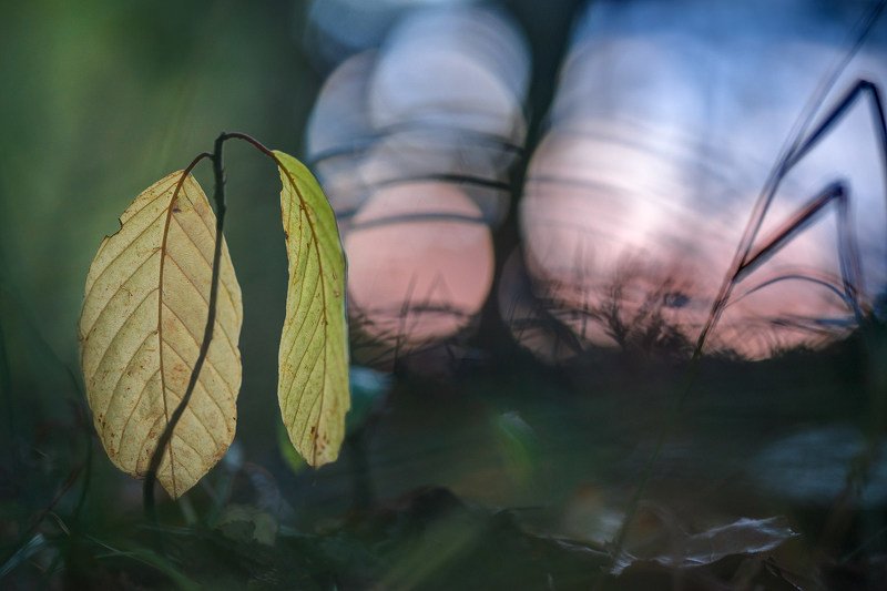 Про осень. фото превью