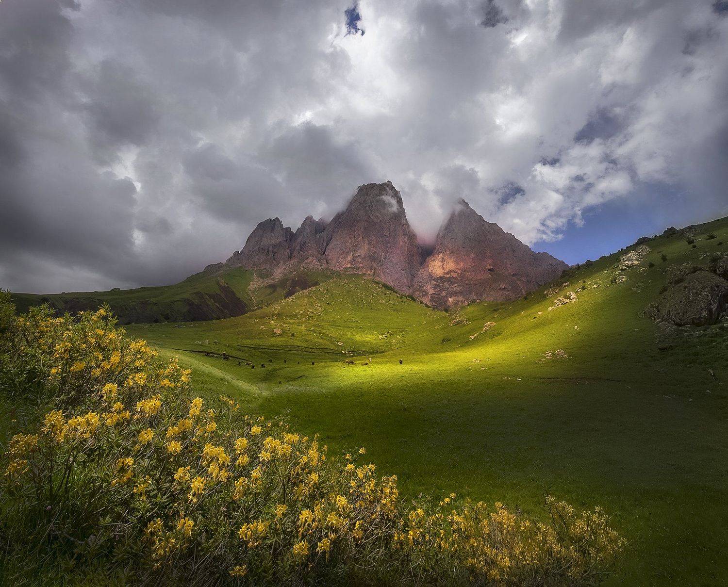 горы  ,облака ,цветы, Елена Маковоз