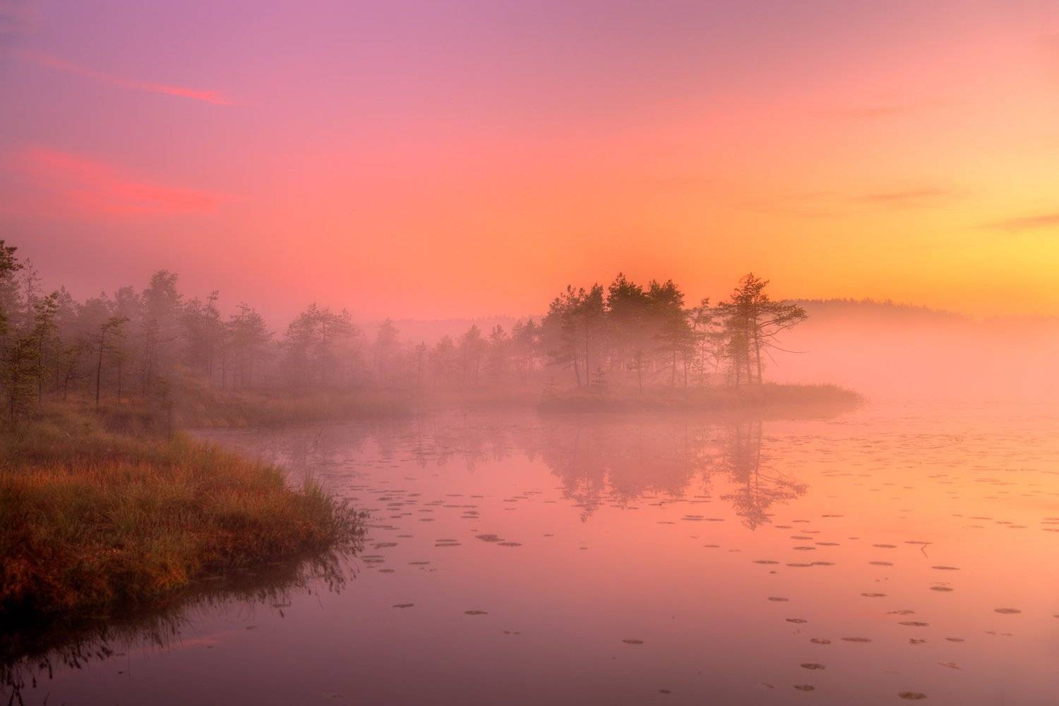 , Эдуард Гордеев