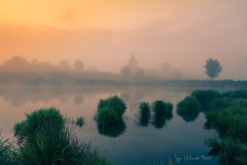 туман, рассвет, река *** фото превью