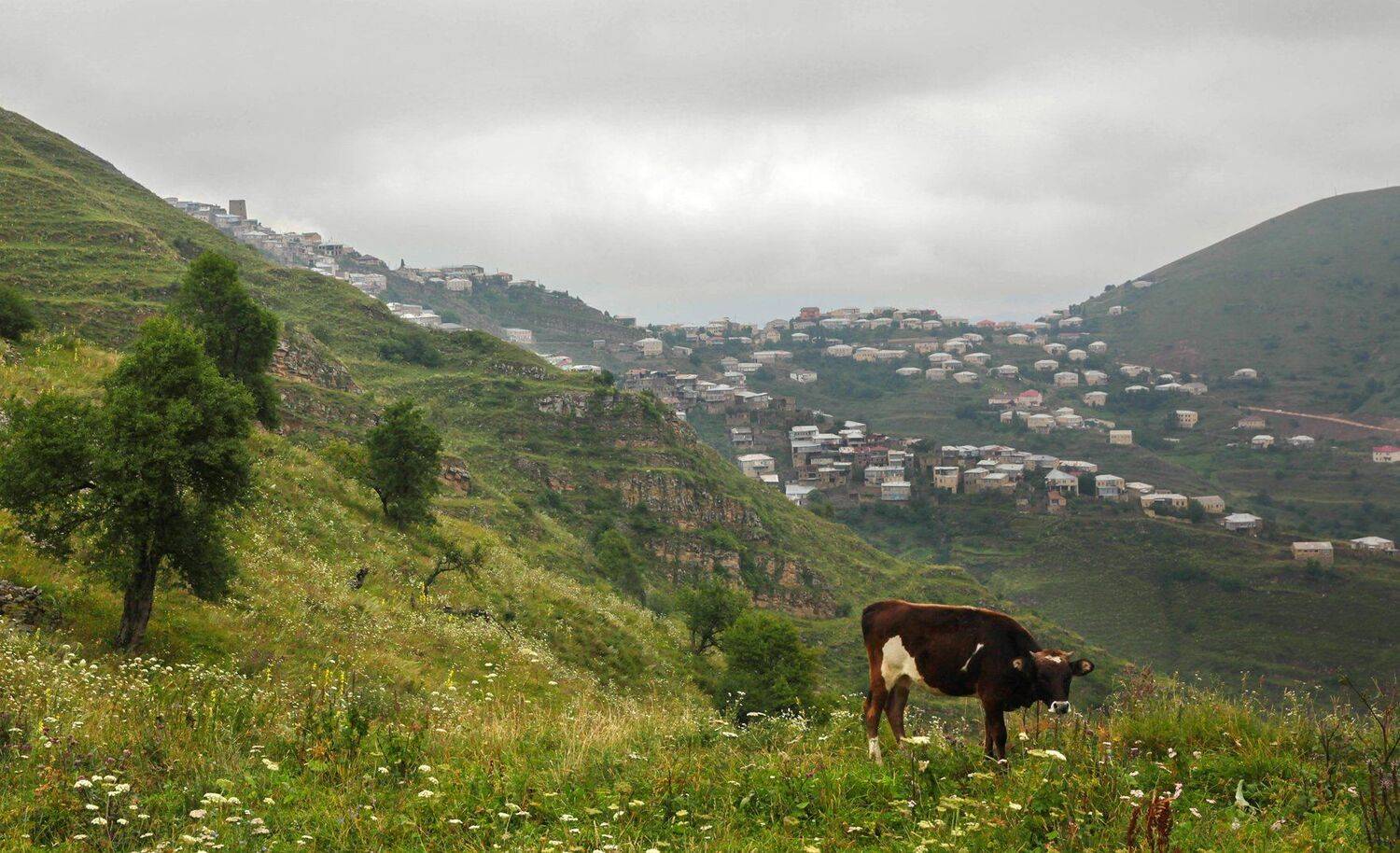 аул,кубачи,дахадаевский район,дагестан,, Marat Magov