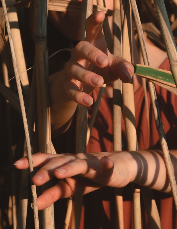 Thumbelina фото превью