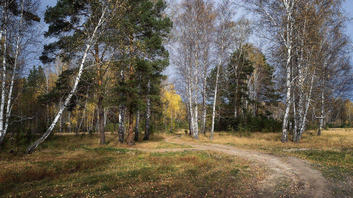 ,  Гобова Наталья