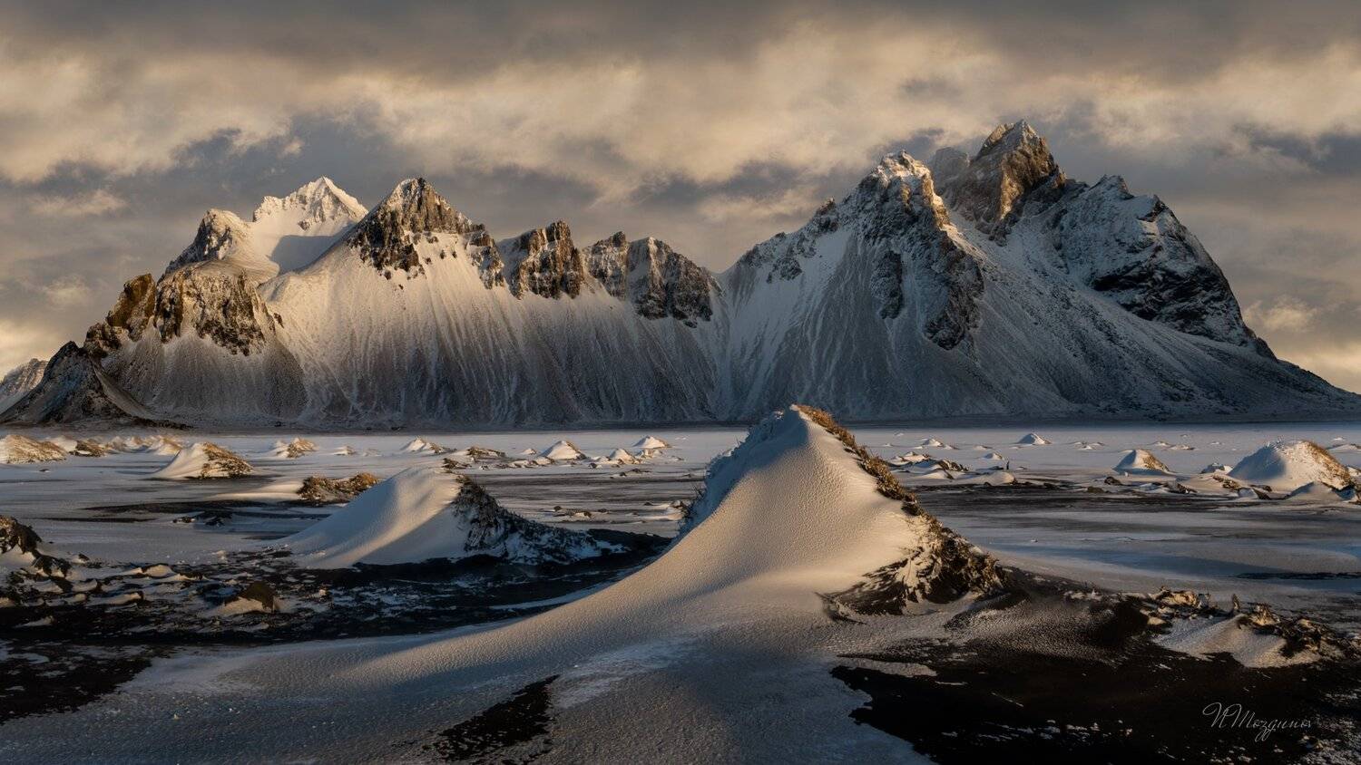 , Николай Мозгунов