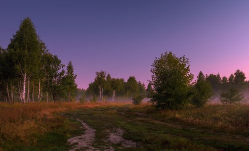 На исходе лета.Рассветная хроника